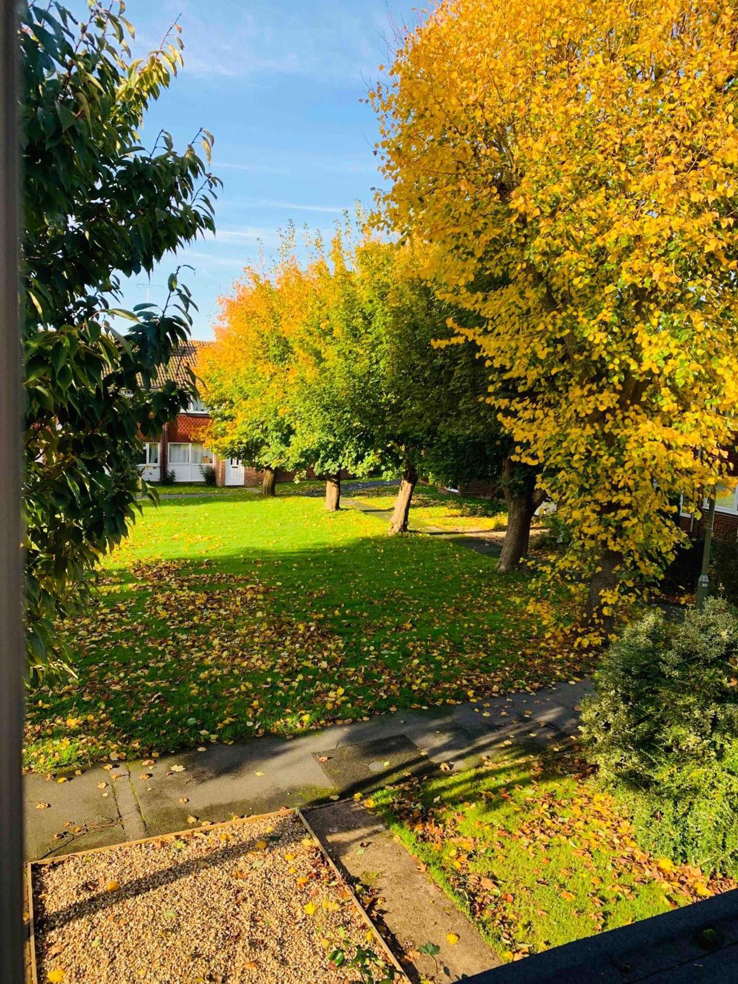 Spacious House, Free Parking & Patio Garden Farnham  Bagian luar foto